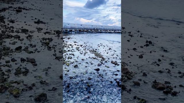 Отлив и Прилив в Индийском Океане 🌊 #мальдивы смотреть онлайн