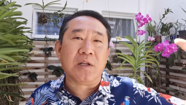 DORMIR ASSIM PODE DANIFICAR SEU CÉREBRO E DIMINUIR SUA VIDA | Peter Liu смотреть онлайн