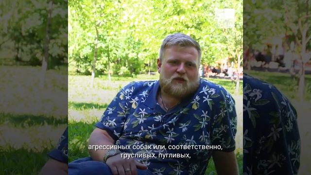 Дрессировка собак как бизнес: история кинолога из Самары смотреть онлайн