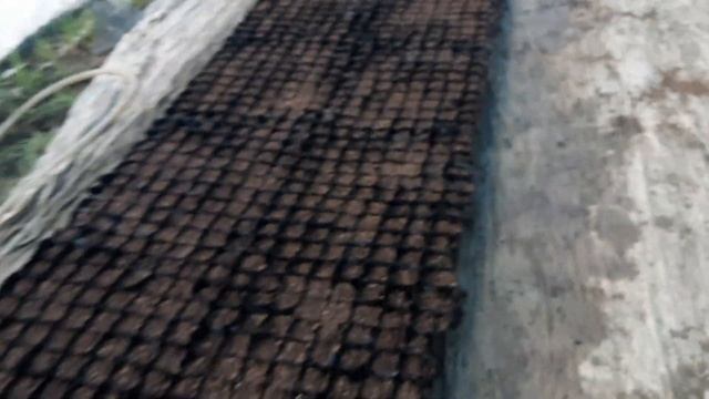 Начало сезона рассады. Новый способ набивки стаканов. смотреть онлайн