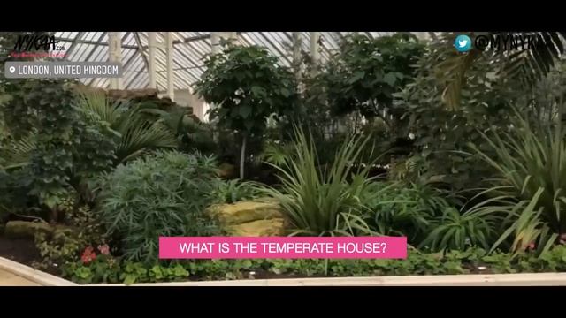 Biggest Hair Care Secrets Revealed | Herbal Essence - London Vlog | Nykaa