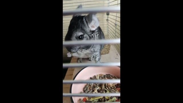 Что может ТВ приставка за 2500 рублей? смотреть онлайн