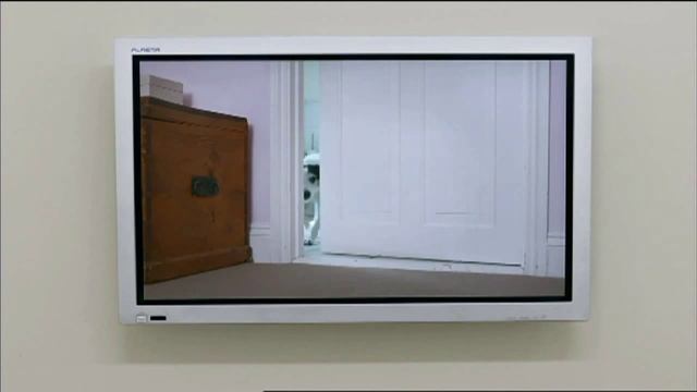 Почему собака лучший друг человека смотреть онлайн