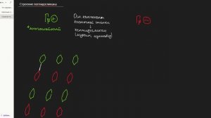 Клеточная стенка грамположительных и грамотрицательных бактерий. Пептидогликан и ЛПС. Метод Грама