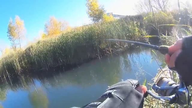 Щука сходит с ума от воблера. Воблер Piscifun косит щуку. смотреть онлайн