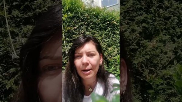 Информация для украинцев в Австрии, базовое обеспечение, жилье