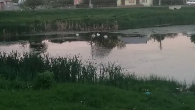 Райский уголок в Ахтырке. смотреть онлайн