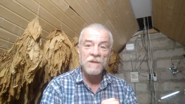 Бюджет - что дышло. Вошел рупь - два лимона вышло. смотреть онлайн