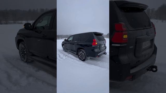 Как вам PRADO? Хейтеры , люблю вас 🫶 смотреть онлайн