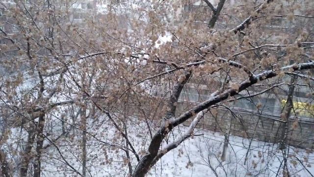 жду газовщика. снег пошел. 21 поменять колонку не срослось. наступило: 22.11.2021 смотреть онлайн