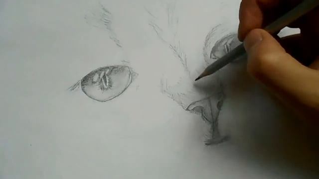 рисование лица кошки карандашом смотреть онлайн