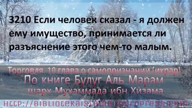 3210 Если человек сказал я должен ему имущество, принимается ли разъяснение этого чем то малым смотреть онлайн