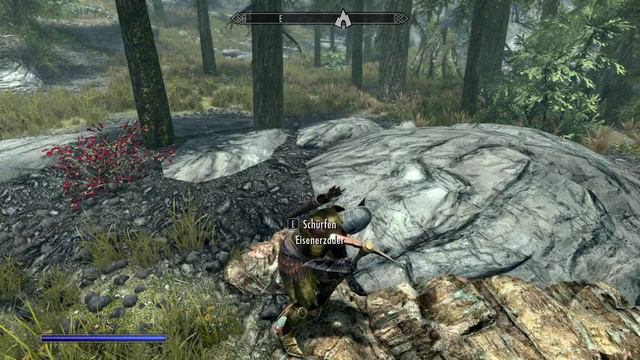 The Elder Scrolls V: Skyrim SE Part 22 - Wir Betreten Das Windhelmer Fürstentum - German