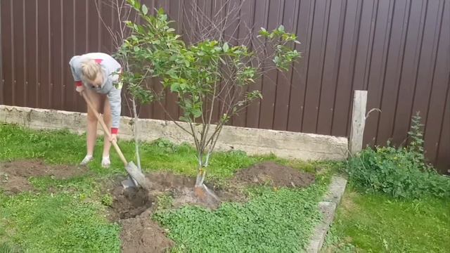 Естественное право . Божественное право.Морское право . смотреть онлайн