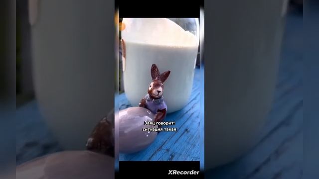 заяц и яйцо с лицо смотреть онлайн