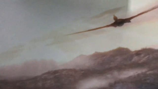 ЕгорЧе с другом в Зыркусе смотреть онлайн