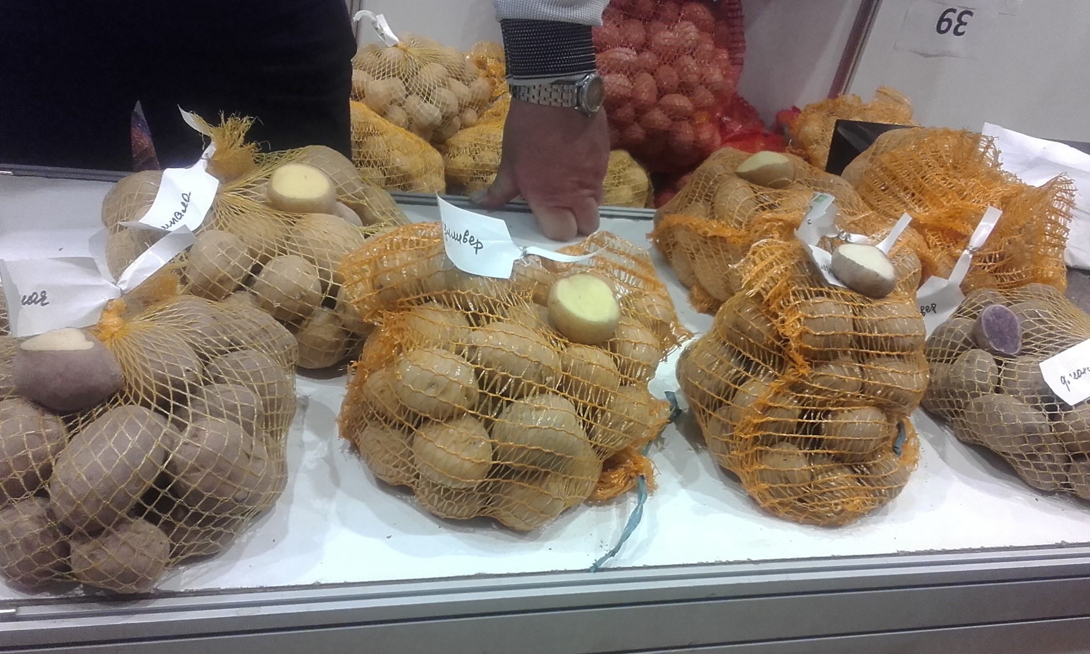 ВЫСТАВКА-ПРОДАЖА "ДАЧА, САД, ЛАНДШАФТ" НА ВДНХ ЗАКРЫВАЕТСЯ! ПОСЛЕДНЕЕ ВИДЕО О НЕЙ... смотреть онлайн