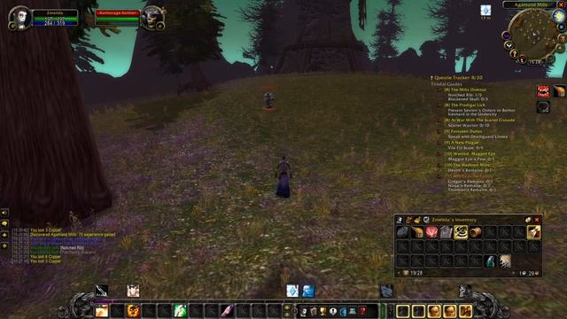 WOW Classic Hardcore Challenge - Прист #45 смотреть онлайн
