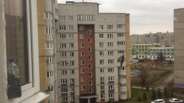 004 Кормушка для синиц смотреть онлайн