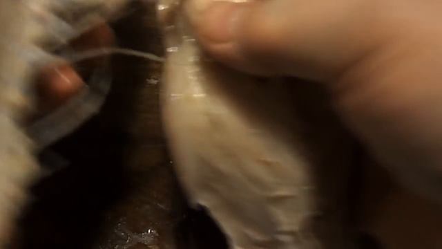 Простые блюда. Хе из скумбрии / Simple Dishes. Marinated Mackerel