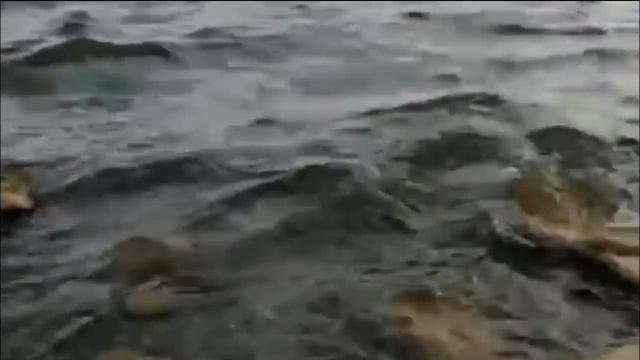 Bahtning Erta Kechi Yoq (2-qism) | Бахтнинг эрта кечи йўқ  (2-қисм)