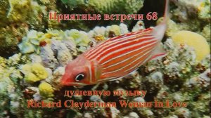 Приятные встречи 68 Белка солдат красная коронованная под музыку Richard Clayderman - Woman In Love