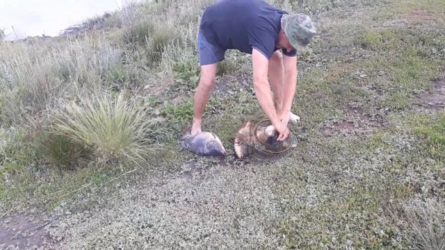 пруд "Черноморец" 14.06.2018 г. Улов рыбака -2. смотреть онлайн