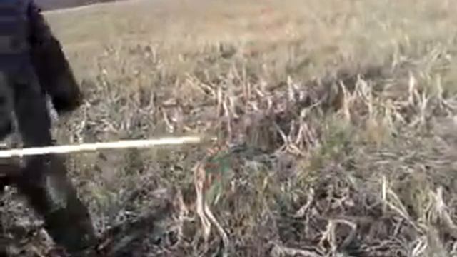 Винахід для збору кукурудзи смотреть онлайн