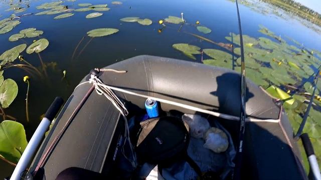 Приехали на карася, а ловился карп!!!! первая рыбалка на поплавок с лодки 2021 смотреть онлайн