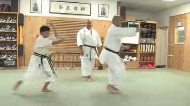 Kata In Okinawan Karate