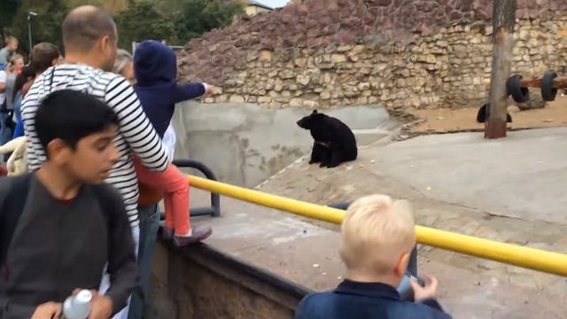 Зоопарк 14.09.2014 смотреть онлайн