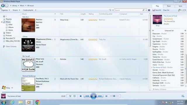 The Pure Collection Of Windows Media Player's Skins.