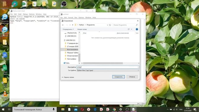 Среда программирования Python: создание и запуск программы смотреть онлайн