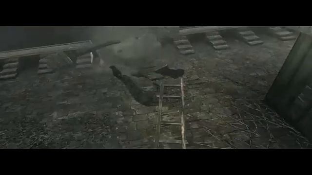 Assassin’s Creed: Brotherhood #2