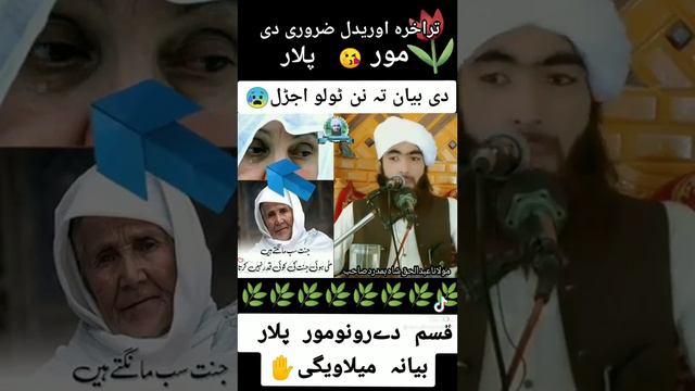 pashto New islme bayan d moor aw plar gizat смотреть онлайн
