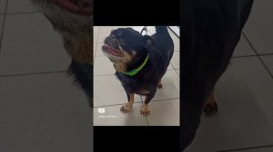 Че это было 😄