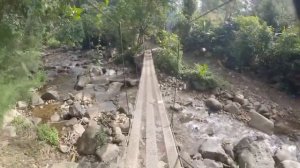 КРИС КРЕМЕРС И ЛИСАНН ФРОН: Затерянные в джунглях ч.2 #36