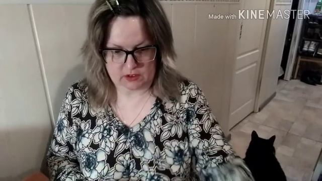 Ленивый Влог. Покупки Пятерочка смотреть онлайн