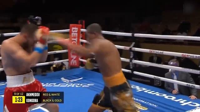 Ali Akhmedov Beaten Badly - CARLOS GONGORA vs ALI AKHMEDOV Highlights смотреть онлайн