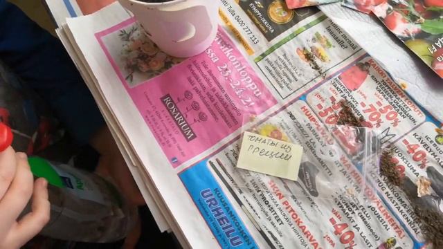 МАССОВЫЙ посев ТОМАТОВ и на работе и дома в разные сроки смотреть онлайн