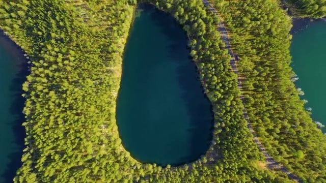 Besso # Lotus # Original Mix #