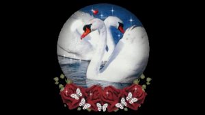 Песня Буй Буй Казахская