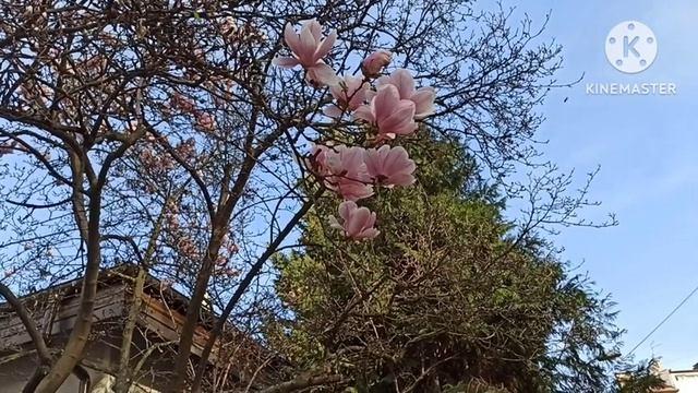 Лена Хеппи.Первая скидка на книгу.Налетай,покупай смотреть онлайн