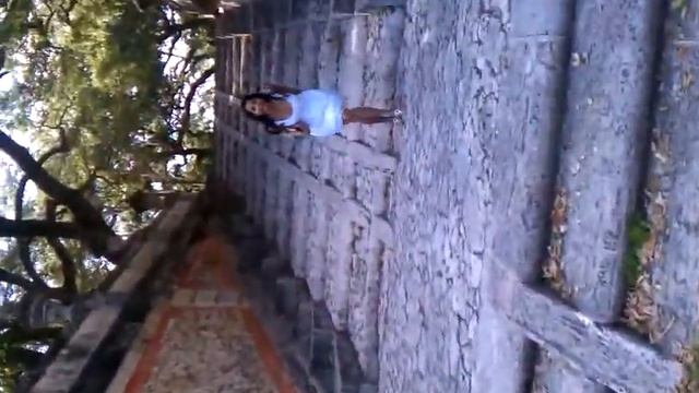 @ The Vizcaya Museum & Gardens смотреть онлайн