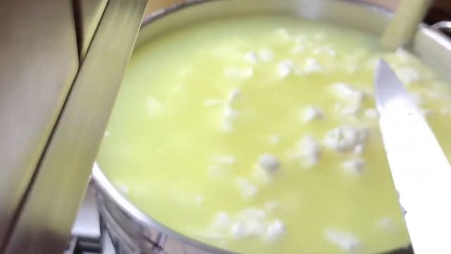 Рецепт. Сыр Манчего от А до Я из 100% коровьего молока. смотреть онлайн