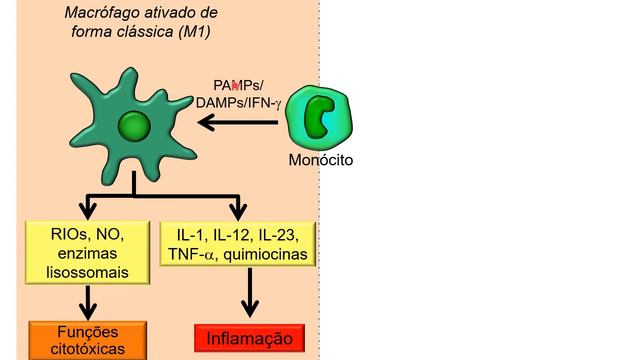 Resposta Imunológica a Tumores / Imunoterapia - Parte A смотреть онлайн