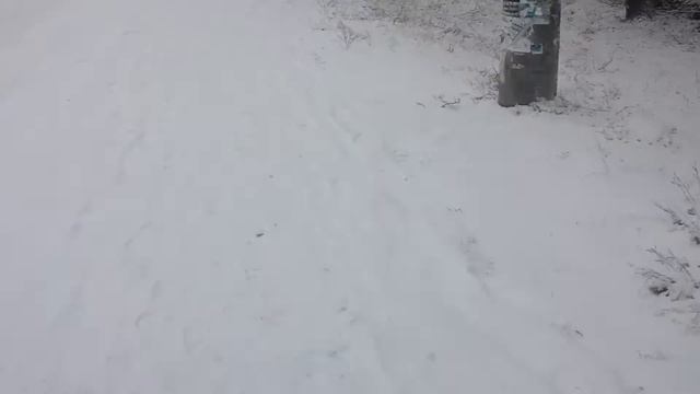 16 декабря 2016 коктебель смотреть онлайн