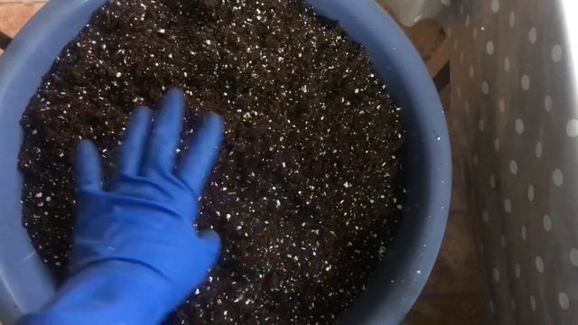 Секрет приготування субстракту для фіалочок @terra_im смотреть онлайн