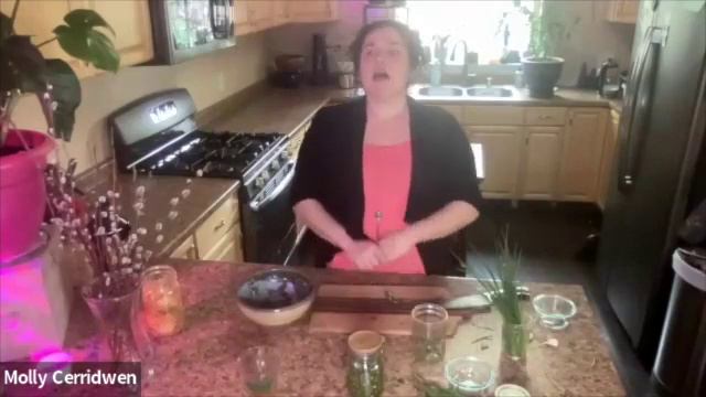 GROW Series 2023 E10: Learn to make Wild Chive Chimichurri Sauce смотреть онлайн