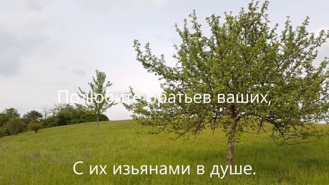 [059]? Не суди смотреть онлайн